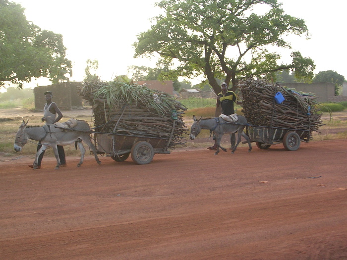 Transport de bois