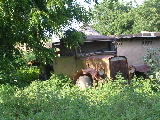 Une carcasse de voiture