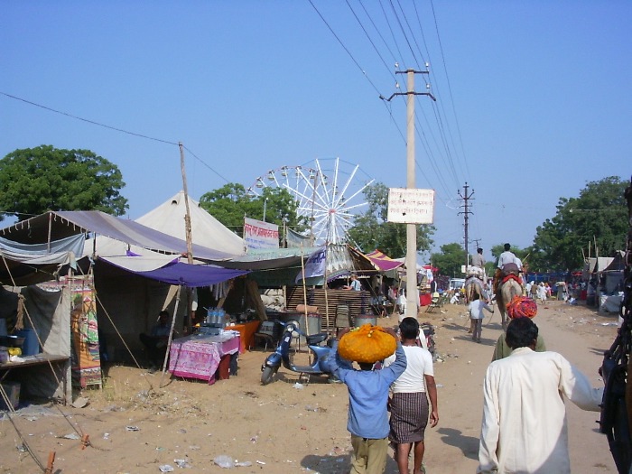 Way to the Camel Festival