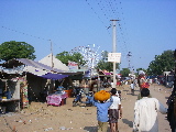 Way to the Camel Festival