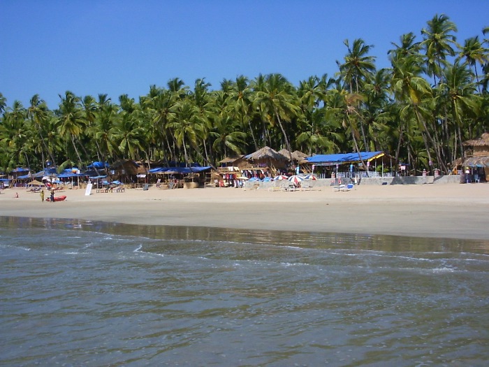 La plage et les cocotiers