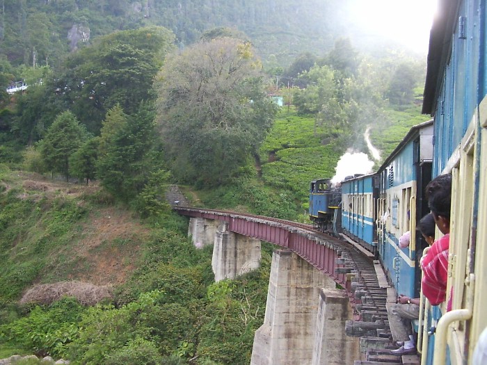 Le train de la forêt de la pluie