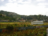 A part of Ooty