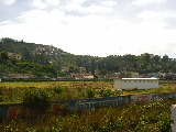 Un quartier d'Ooty