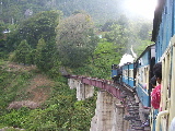 Le train de la forêt de la pluie