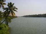 A river near Cochin