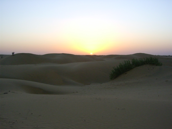Le désert du Rajasthan au coucher du soleil