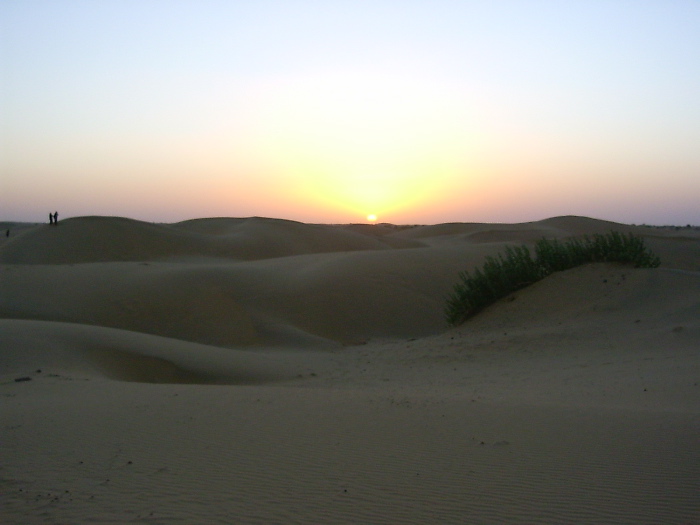 The desert of the Rajasthan at sunset