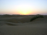 The desert of the Rajasthan at sunset
