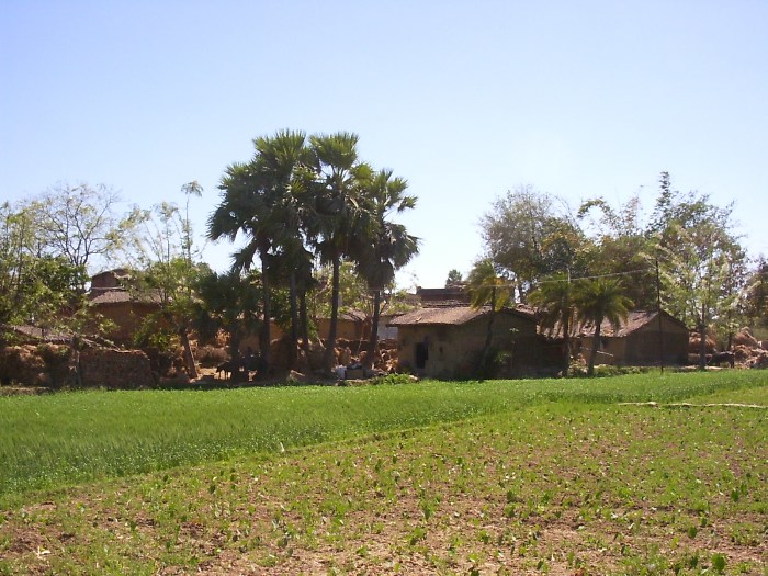 The rural part of Bodhgaya