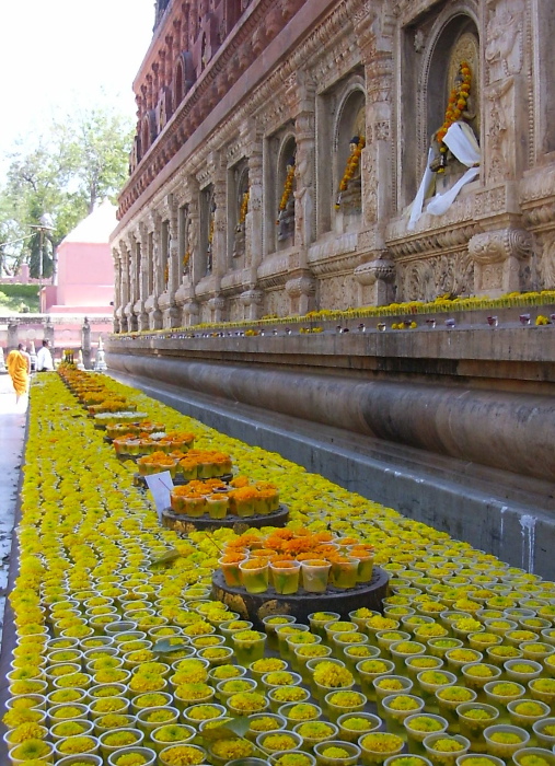 Rangée de fleurs à côté du temple