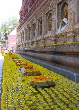 Rangée de fleurs à côté du temple