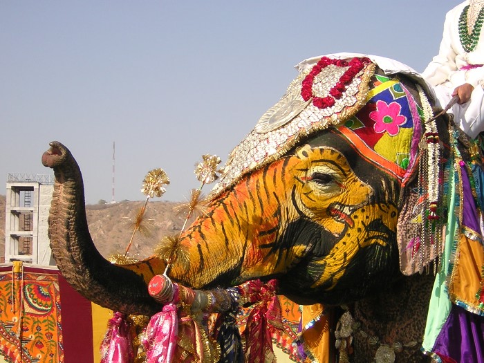 Decorated elephant