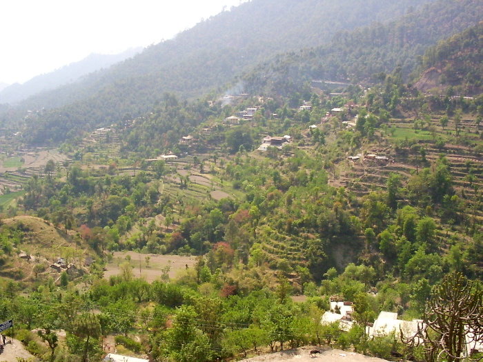 Landscape seen from the train