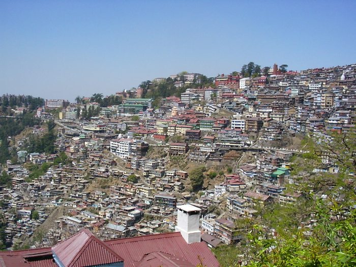 Shimla