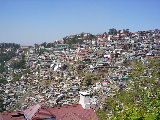 Shimla