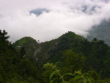 A landscape at the beginning of the walk