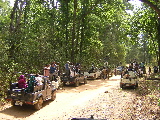 Visiteurs attendant de voir le tigre