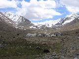 North Pullu Camp