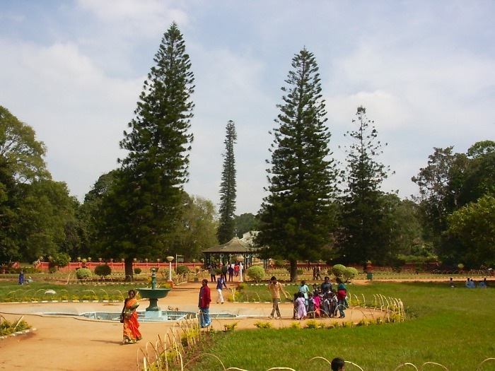 A lane inside the park
