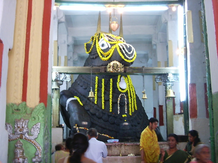 Giant cow inside the temple