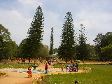 A lane inside the park