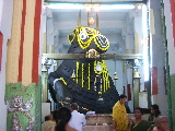 Giant cow inside the temple