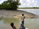 Pêcheur en action