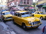 Taxis