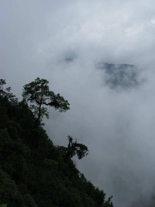 Levée du brouillard