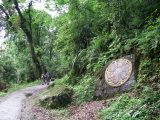 Chemin de forêt