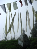 Symboles bouddhistes figés dans le brouillard