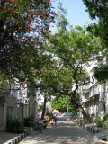 A quiet street