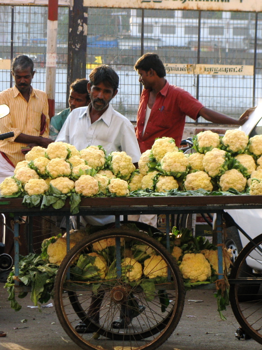 Un marchand de choux-fleurs