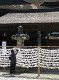 Lines of omikuji