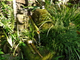 Little fountain in a garden