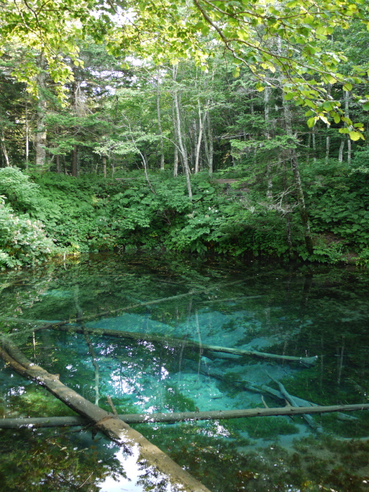 Eau transparente de l'étang Kaminoko