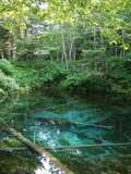 Transparent water of Kaminoko Pond