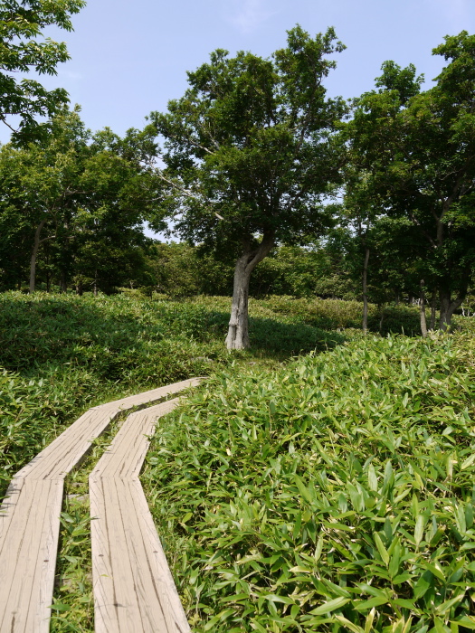 Walkway around the lakes