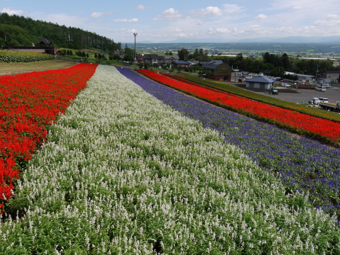 Lavender parks of Nakafurano