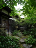 Wooden houses in the park