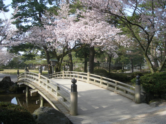 Petit pont dans le parc