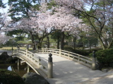 Small bridge in the park