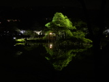 Pond in Kenrokuen Park