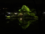 Etang dans le parc Kenrokuen