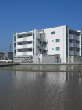 Rice field in a residential area