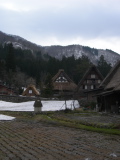 Rice field in the village