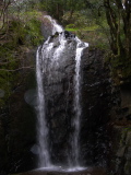 Cascade