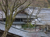 View on the roofs