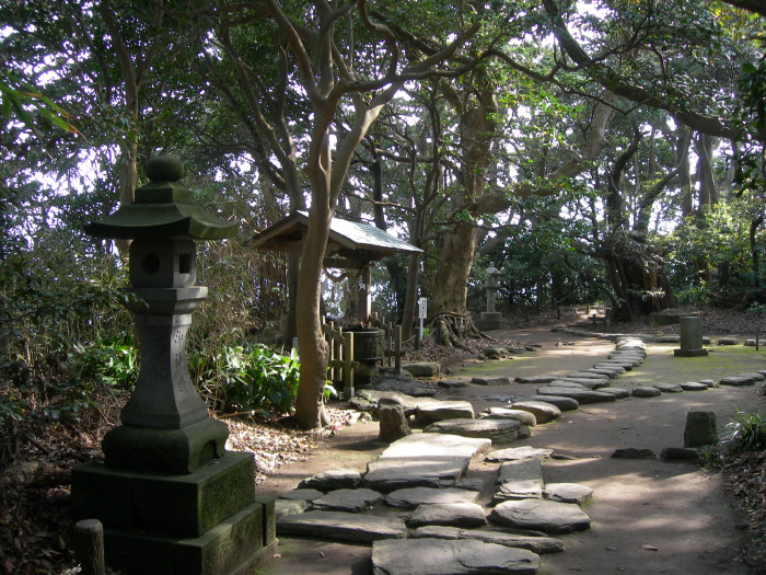 Forest path